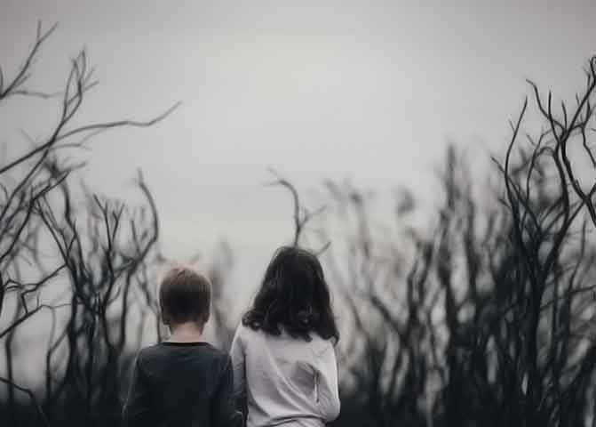 担保交易平台的器测压文章